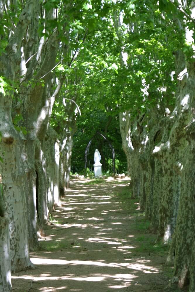 L'environnement du domaine Pech Laurier à Quarante