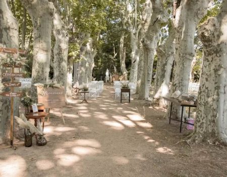 Organisation de votre mariage, dans le jardin du domaine Pech Laurier près de Béziers